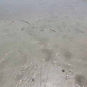 Meet your Posher, Ursula